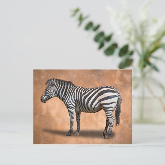 ZEBRA BRIEFKAART (Staand voorkant)