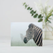Zebra Briefkaart (Staand voorkant)