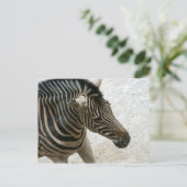 Zebra Briefkaart (Staand voorkant)