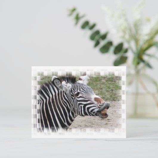 Zebra Briefkaart glimlachen (Staand voorkant)