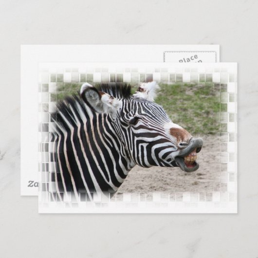 Zebra Briefkaart glimlachen (Voorkant / Achterkant)