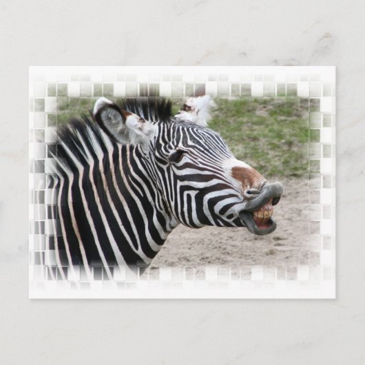Zebra Briefkaart glimlachen (Voorkant)