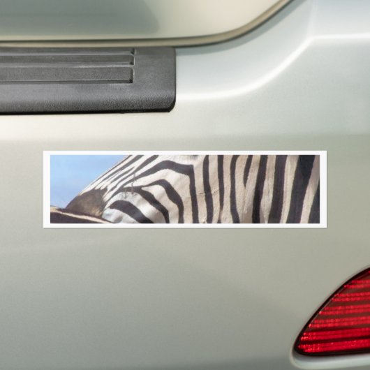 Zebra Bumpersticker (Op auto)