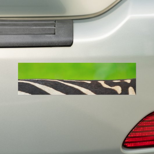Zebra Bumpersticker (Op auto)