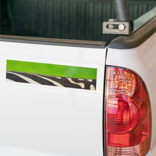 Zebra Bumpersticker (Op Truck)