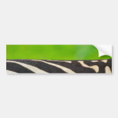 Zebra Bumpersticker (Voorkant)