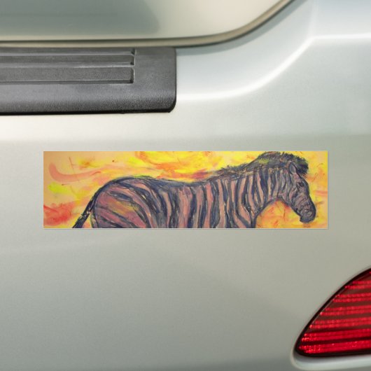 Zebra Bumpersticker (Op auto)