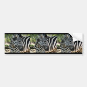 Zebra-Bumpersticker Bumpersticker (Voorkant)