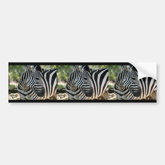 Zebra-Bumpersticker Bumpersticker (Voorkant)