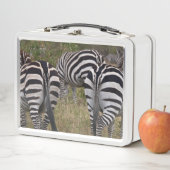 Zebra Butt Lunch Box (In situ)