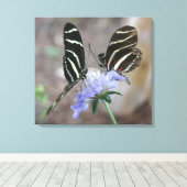 Zebra Butterflies! Canvas Afdruk (Insitu (Houten vloer))