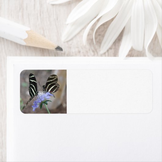 Zebra Butterflies Etiket (Insitu)