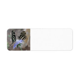 Zebra Butterflies Etiket
