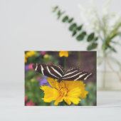 Zebra Butterfly Beauty Briefkaart (Staand voorkant)