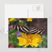 Zebra Butterfly Beauty Briefkaart (Voorkant / Achterkant)