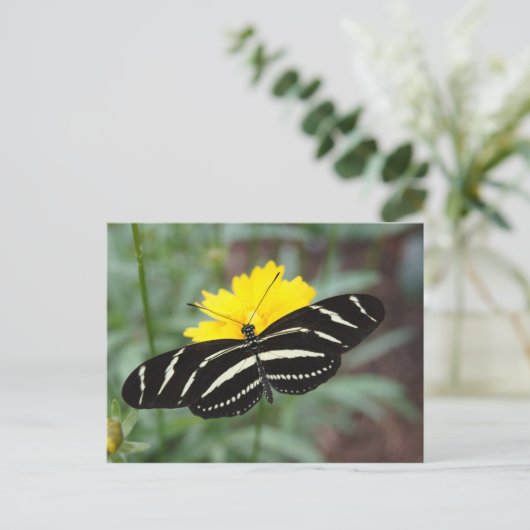 Zebra Butterfly Briefkaart (Staand voorkant)