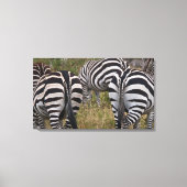 Zebra Butts Canvas Art Print (Voorkant)
