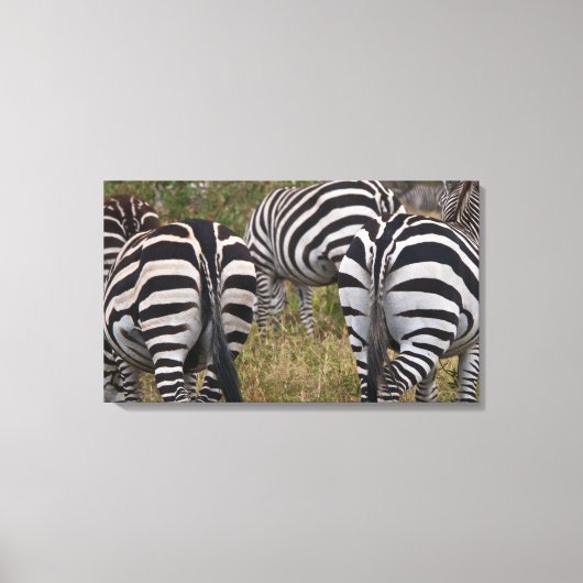 Zebra Butts Canvas Art Print (Voorkant)