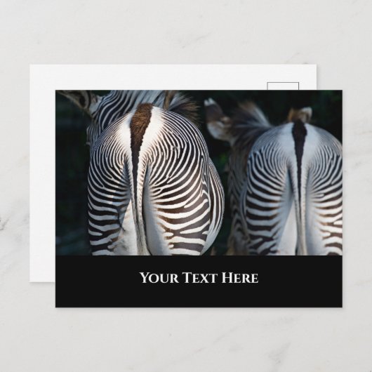 Zebra Butts Funny Wildlife Briefkaart (Voorkant / Achterkant)