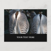 Zebra Butts Funny Wildlife Briefkaart (Voorkant)