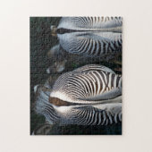 Zebra Butts Funny Wildlife Legpuzzel (Verticaal)