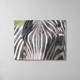 zebra canvas afdruk