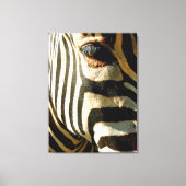 Zebra Canvas Afdruk (Voorkant)