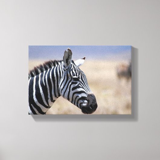 Zebra Canvas Afdruk (Voorkant)