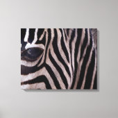 Zebra Canvas Afdruk (Voorkant)