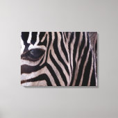 Zebra Canvas Afdruk (Voorkant)