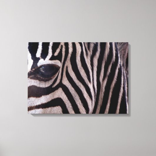 Zebra Canvas Afdruk (Voorkant)