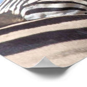 Zebra Canvas afdrukken Poster (Hoek)