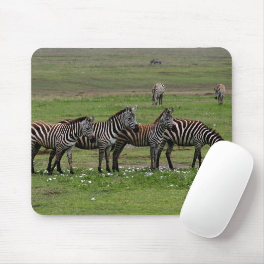 Zebra Clan Muismat (Met muis)