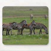 Zebra Clan Muismat (Voorkant)