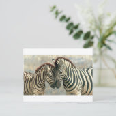 zebra-clip-art-3 briefkaart (Staand voorkant)