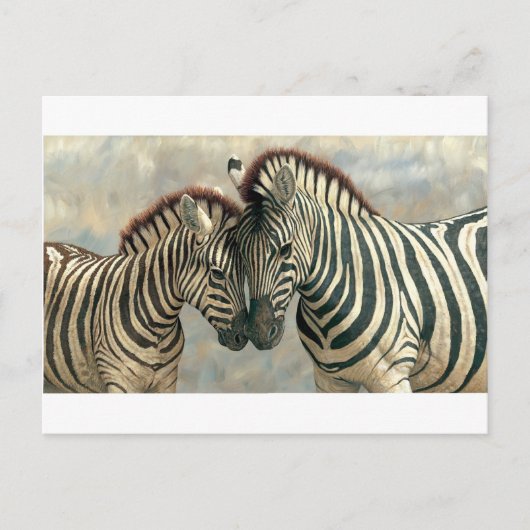 zebra-clip-art-3 briefkaart (Voorkant)