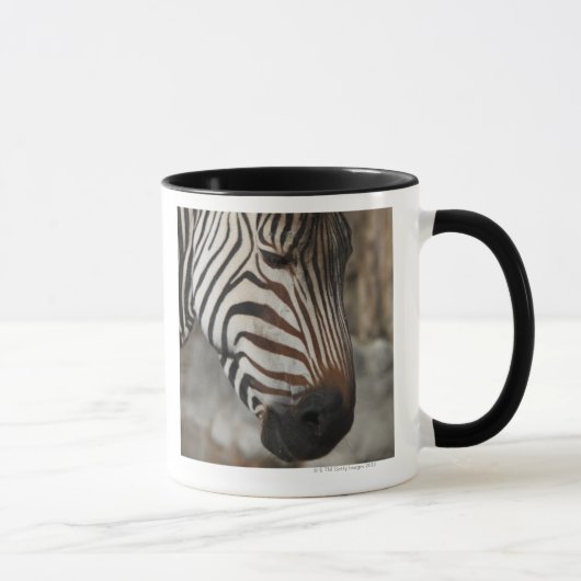 Zebra, close-up mok (Rechts)