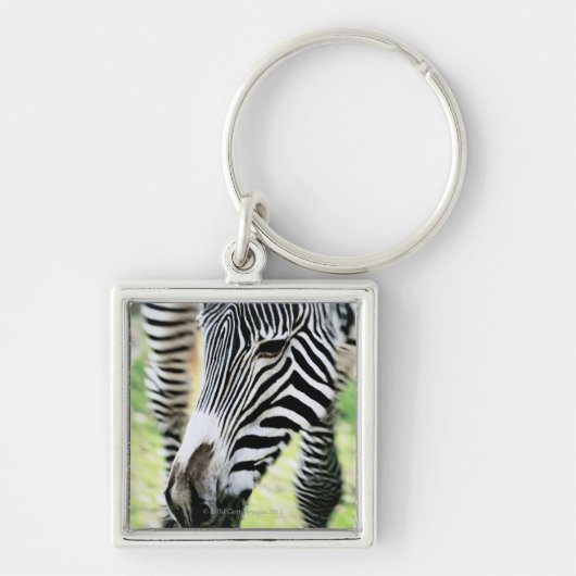 Zebra, close-up, selectieve focus sleutelhanger (Voorkant)