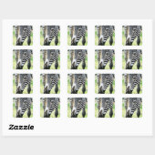 Zebra, close-up, selectieve focus vierkante sticker (Vel)