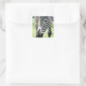 Zebra, close-up, selectieve focus vierkante sticker (Tas)