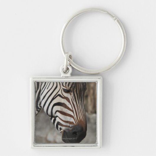 Zebra, close-up sleutelhanger (Voorkant)