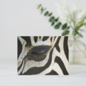 Zebra, close-up van oog briefkaart (Staand voorkant)