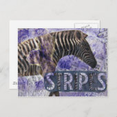 Zebra Collage Briefkaart (Voorkant / Achterkant)