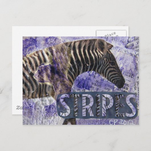 Zebra Collage Briefkaart (Voorkant / Achterkant)