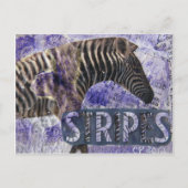 Zebra Collage Briefkaart (Voorkant)