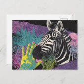 Zebra Collage Briefkaart (Voorkant / Achterkant)