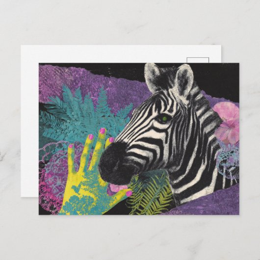Zebra Collage Briefkaart (Voorkant / Achterkant)