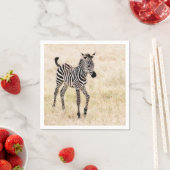 Zebra Colt Servet (Insitu)