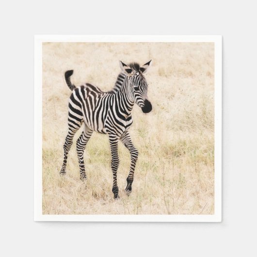 Zebra Colt Servet (Voorkant)