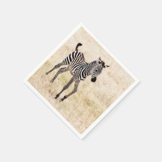 Zebra Colt Servet (Hoek)